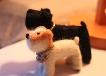 felt de dog