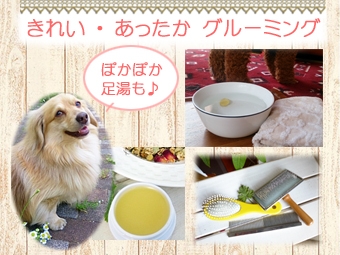 きれい・あったかグルーミング