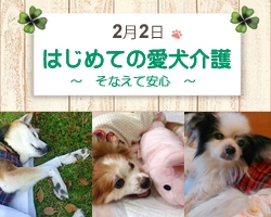 愛犬の万が一に備える実践セミナー 「はじめての愛犬介護」　