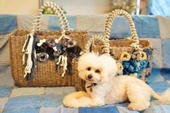 愛犬と楽しむフラワーアレンジメント~カゴバッグ＆チョーカー~